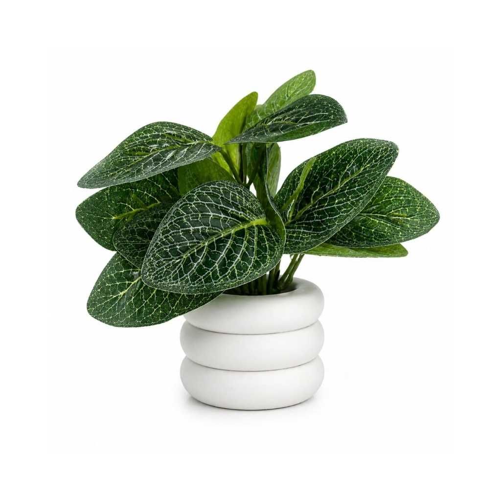 Artificial Mini Potted Plant with Modern White Ceramic Zen Pot
