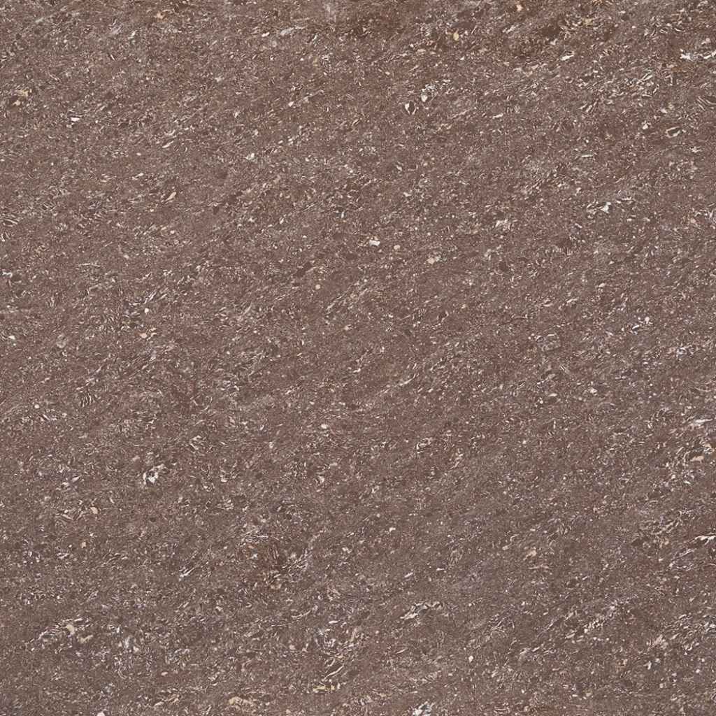 Aparna's Vitero Standard Tiles – Atlas Choco