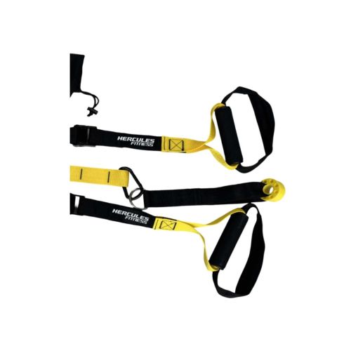 Weight Lifting Belt